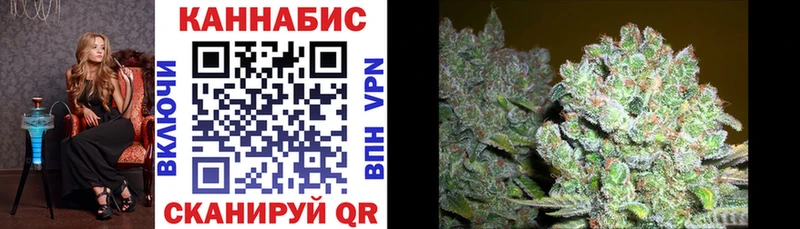 Каннабис OG Kush  Купить где  Западная Двина 